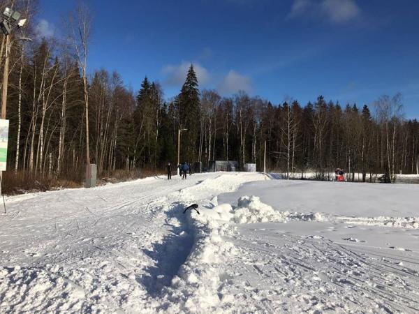 Paloheinässä talven parhaat kelit - Suomen Latu