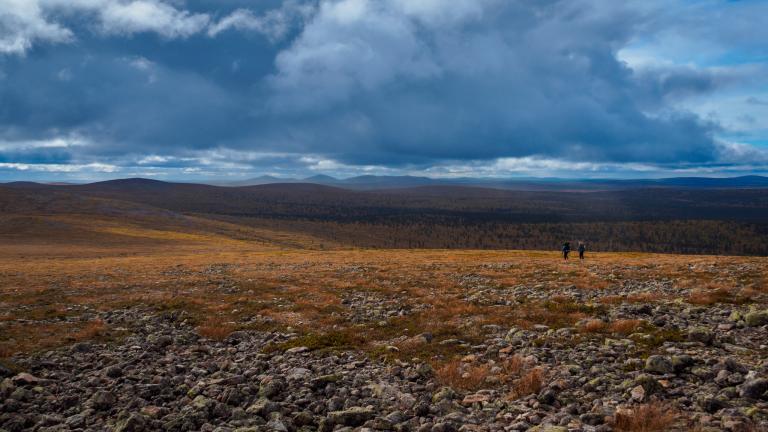 Suomen Latu: Uuden Metsähallituslain varjolla ajetaan koko ympäristöhallinto  alas - Suomen Latu